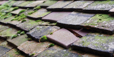 Mountnessing roof repair costs
